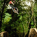 Alex Boyd Photo 52