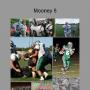 Chris Mooney Photo 39