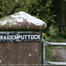 Thomas Galloway Photo 42
