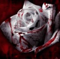 Vicki Fulton Photo 5