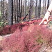 Amy Pointer Photo 28