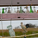 Charles Long Photo 26