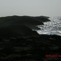 Carmen Acevedo Photo 12