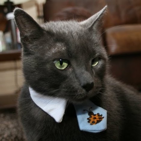 Kelli Taylor Photo 33