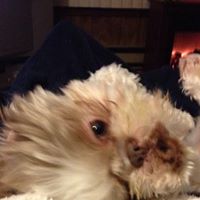 Elaine Brown Photo 22