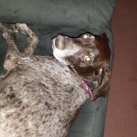 Jill Karas Photo 17