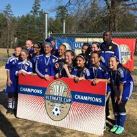 Carole Scott Photo 12