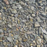 Deborah Batchelder Photo 1