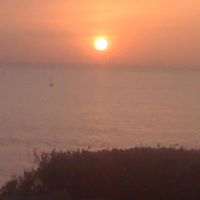 Toni Vaughn Photo 21