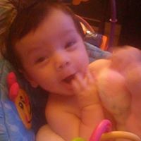 Steven Foote Photo 7