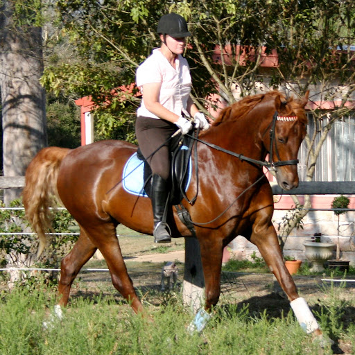 Kim Harvey Photo 14