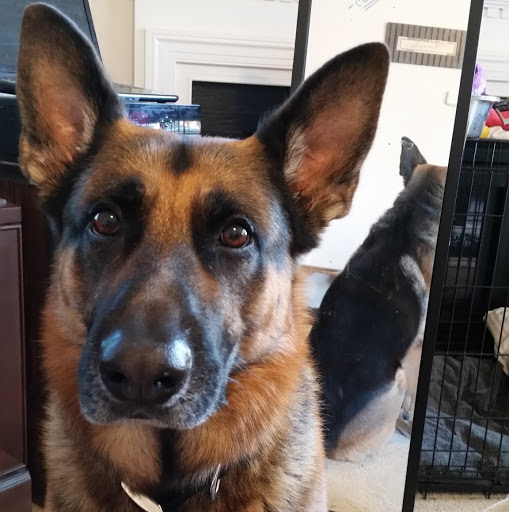 Greg Bailey Photo 26