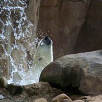 Edward Mott Photo 16