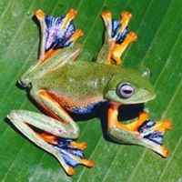 Charline Webb Photo 6