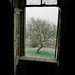 Ellen Johnston Photo 41