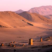 Kristina Stein Photo 7