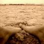 Susan Pope Photo 37