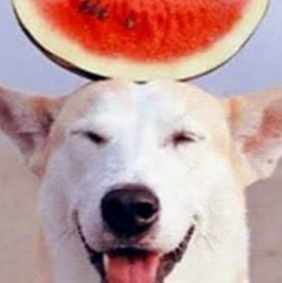 Marcela Rodriguez Photo 27