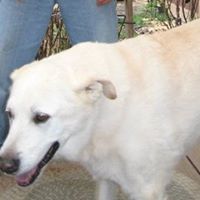 Christopher Staley Photo 12