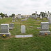 James Kearney Photo 32