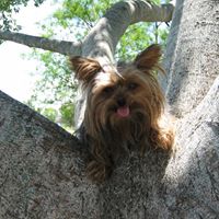 Janice Hearne Photo 3