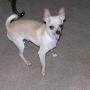 Tammy Myers Photo 10