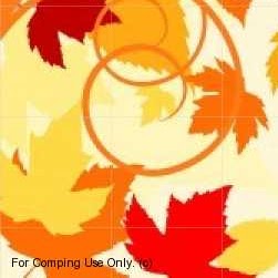 Maureen Gibbs Photo 25