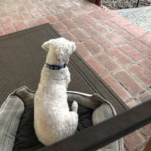 Cathy Walters Photo 18 Cathy Walters Photo 18