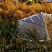 Sandy Steffen Photo 19