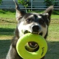 Jason Pennington Photo 41