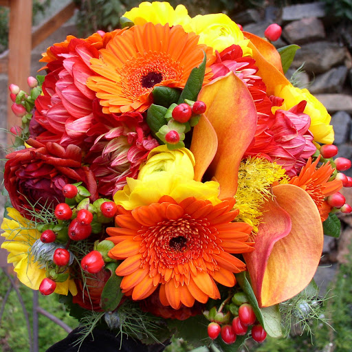 Tracy Goodman Photo 40