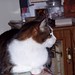Bert Weber Photo 8
