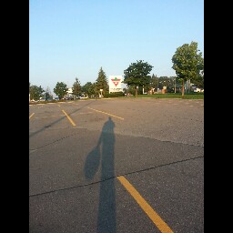 Steven Bushey Photo 12