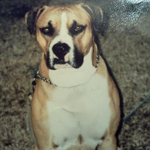 Timothy Fletcher Photo 9