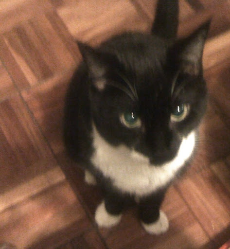 Nathaniel Saunders Photo 27