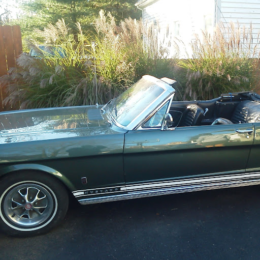 Tom Tobin Photo 35 Tom Tobin Photo 35