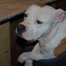 Floyd Sweet Photo 9