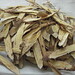 Qui Huang Photo 7