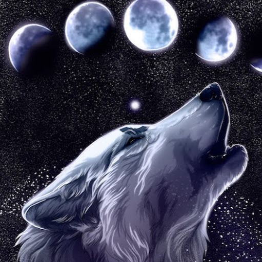 Patrick Lowe Photo 33