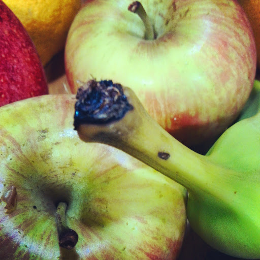 Elisa Moreno Photo 8