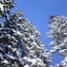 Jane Young Photo 35