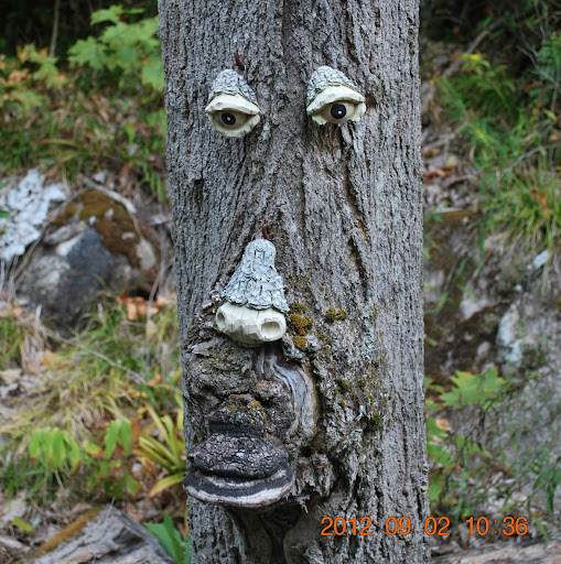 Alan Hopper Photo 14