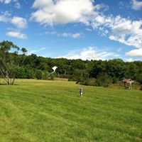 Diana Dimarco Photo 7