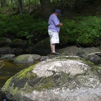 Debbie Hutchins Photo 7