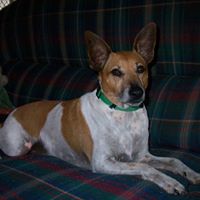 John Giddens Photo 40