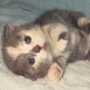 Rosalba Salgado Photo 9