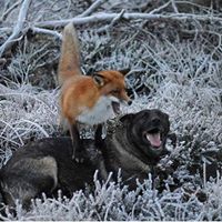 Corey Schultz Photo 11