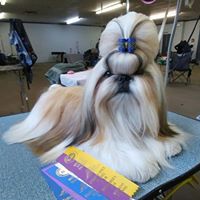 Julie Burns Photo 18 Julie Burns Photo 18