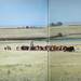Randy Chappell Photo 13