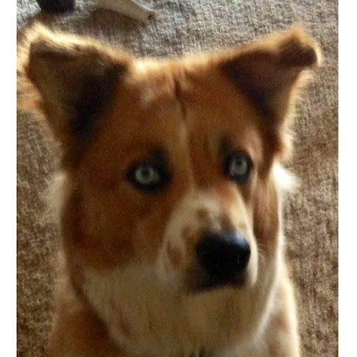 Paula Steiner Photo 10